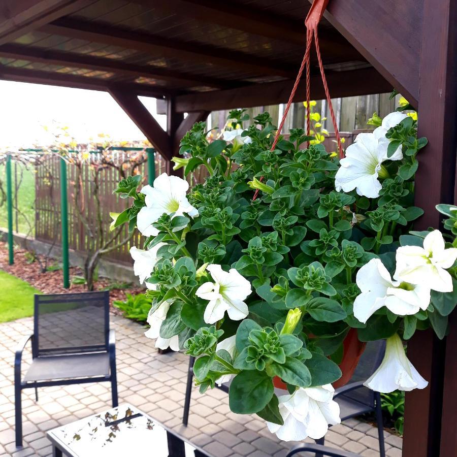 Zielone Zacisze Villa Uniejow Dış mekan fotoğraf