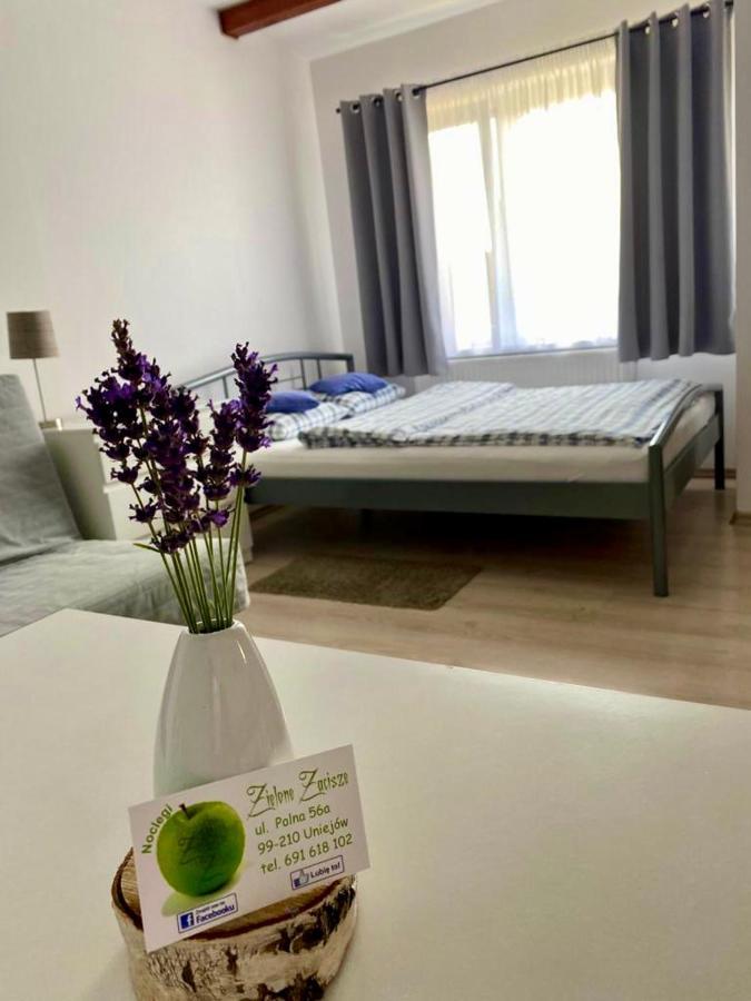 Zielone Zacisze Villa Uniejow Dış mekan fotoğraf