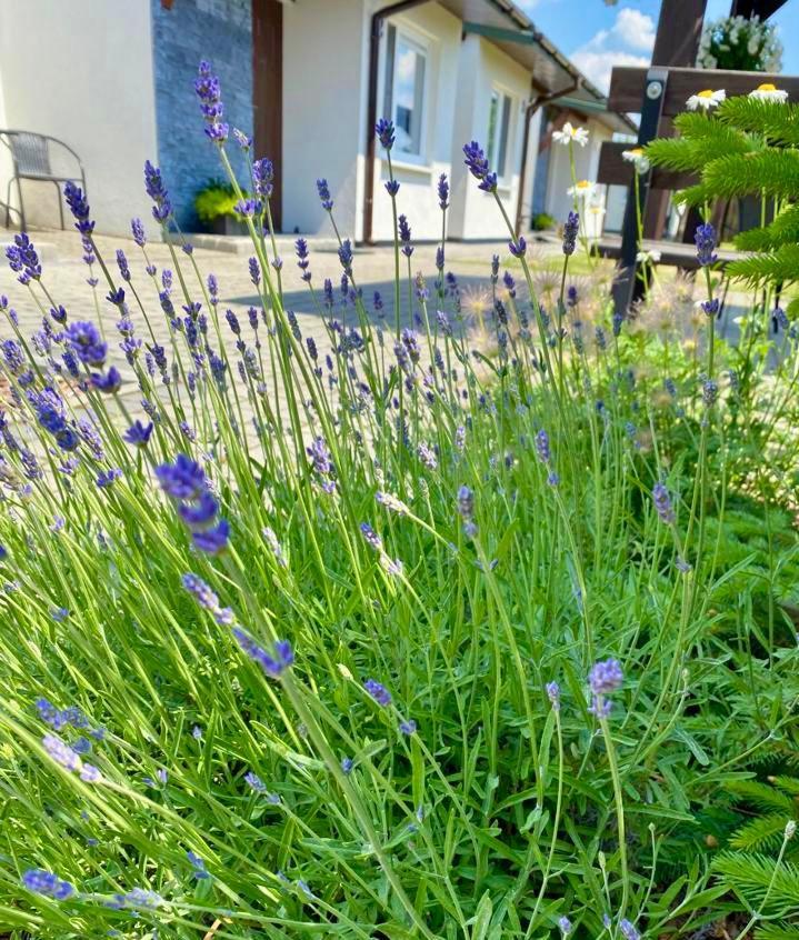 Zielone Zacisze Villa Uniejow Dış mekan fotoğraf