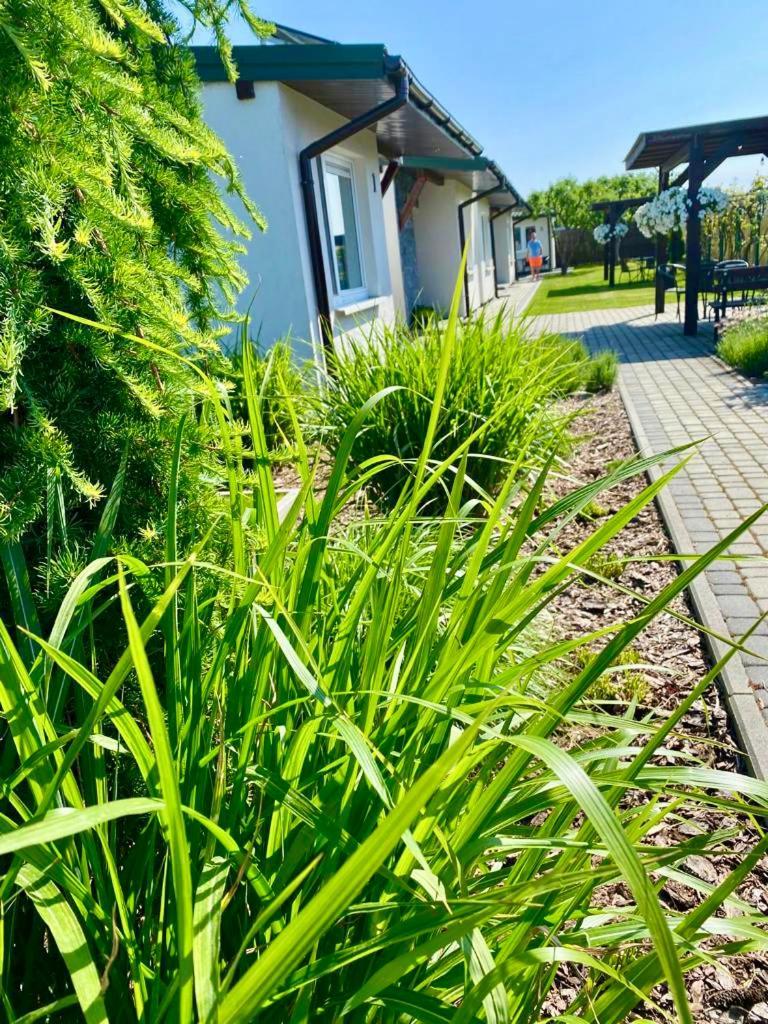 Zielone Zacisze Villa Uniejow Dış mekan fotoğraf
