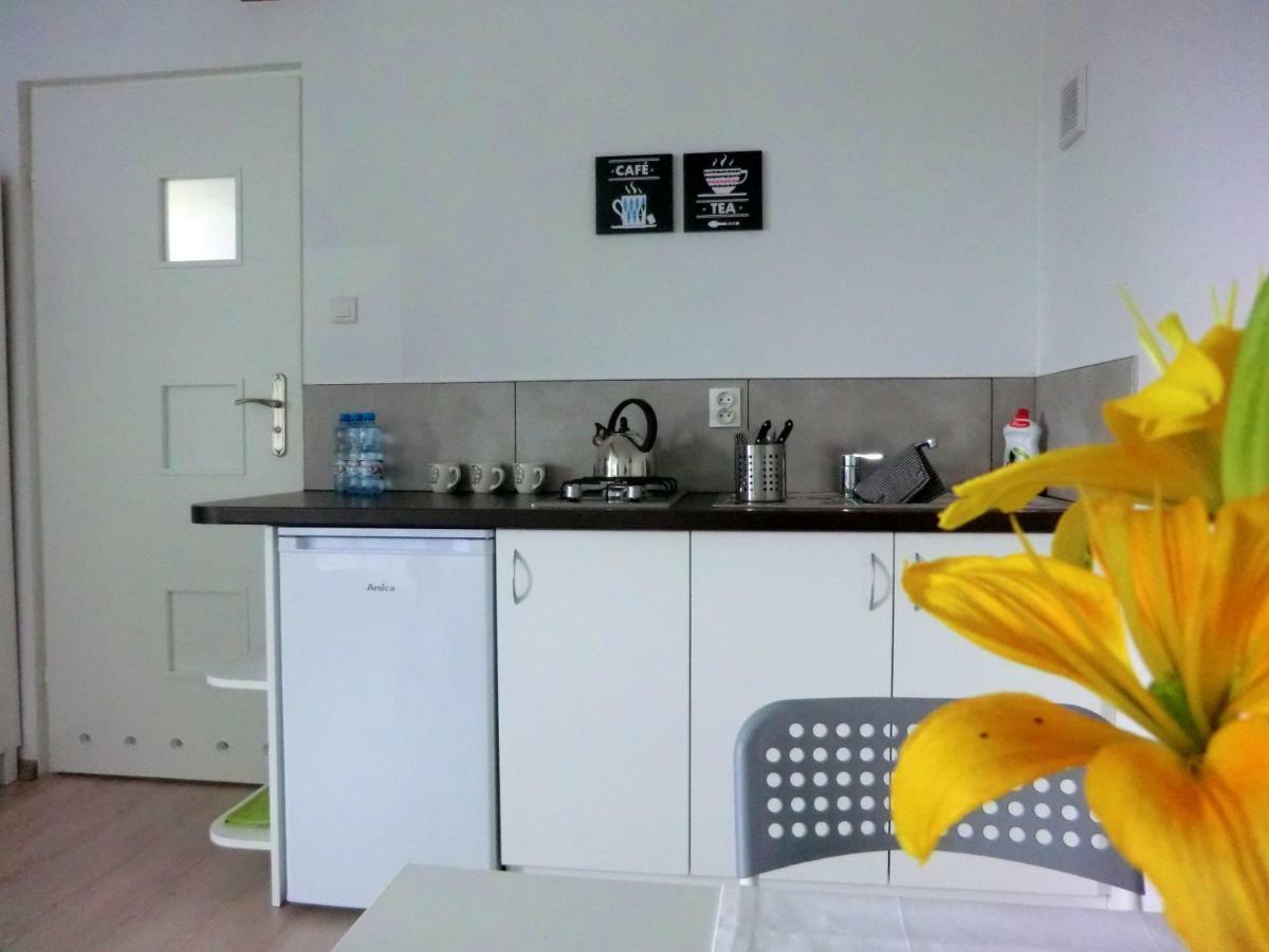 Zielone Zacisze Villa Uniejow Dış mekan fotoğraf