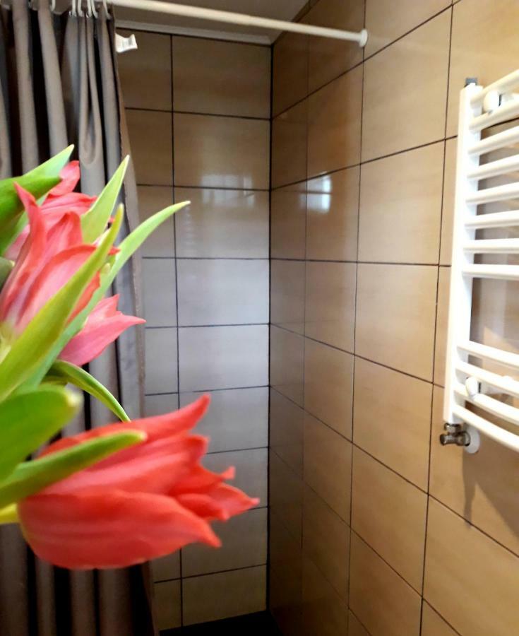 Zielone Zacisze Villa Uniejow Dış mekan fotoğraf