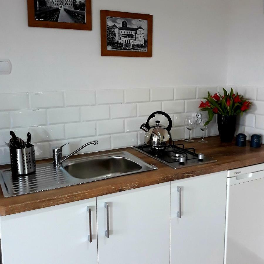 Zielone Zacisze Villa Uniejow Oda fotoğraf