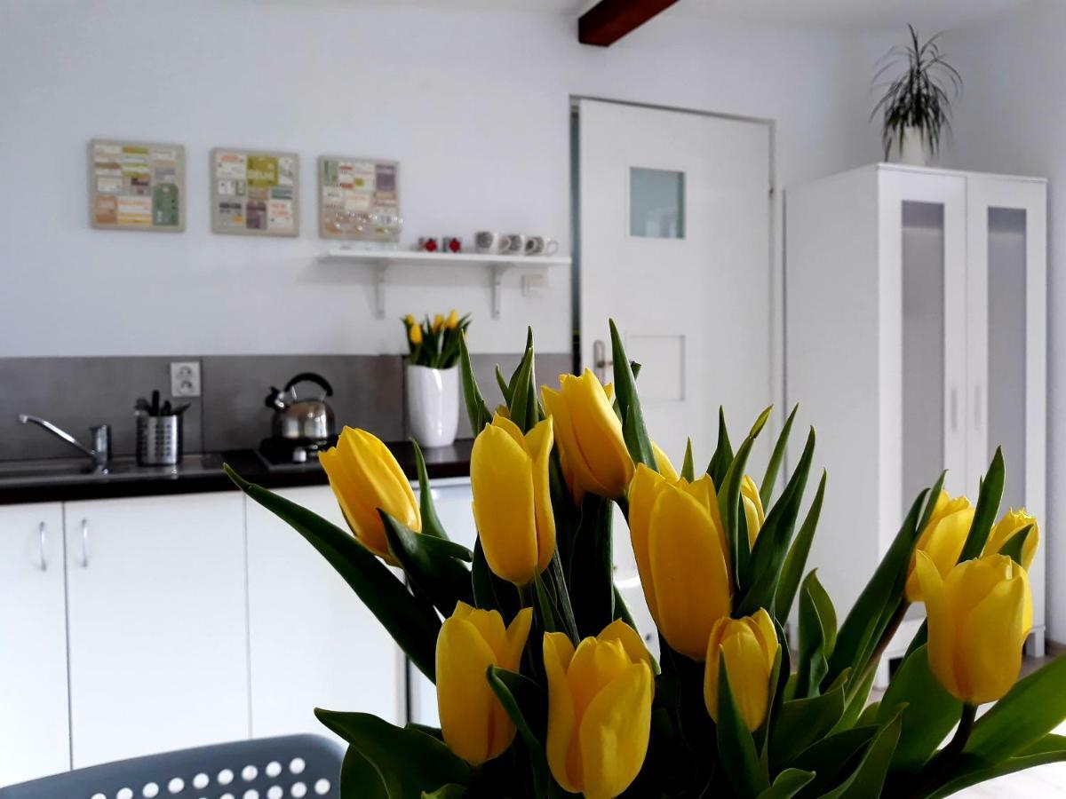 Zielone Zacisze Villa Uniejow Dış mekan fotoğraf