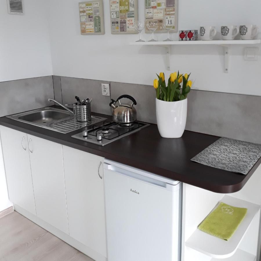 Zielone Zacisze Villa Uniejow Dış mekan fotoğraf